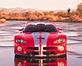 AMAZING VIPER 3.jpg