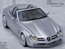 VisionSLR_800.jpg