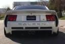 saleen 2.jpg