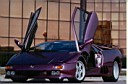 sweet purple diablo.jpg