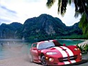 viper on the beech.jpg
